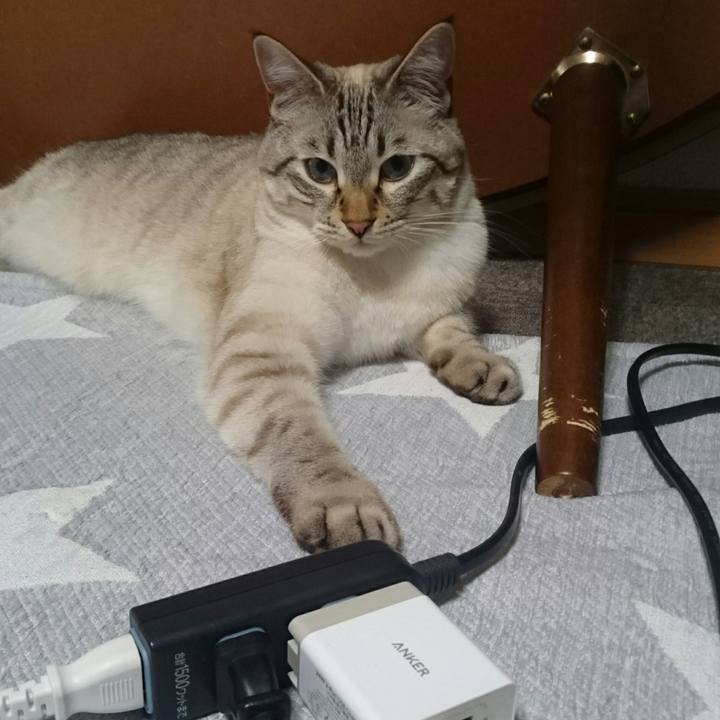 887b027d f950 471c 89d3 6328f77ca7bc