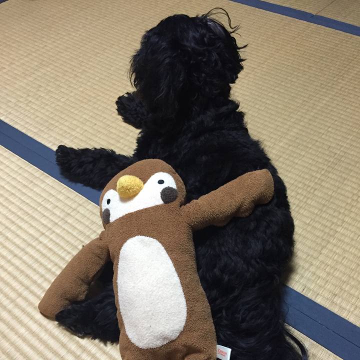 887b1c50 b007 4c73 901d 218a6e370ab3