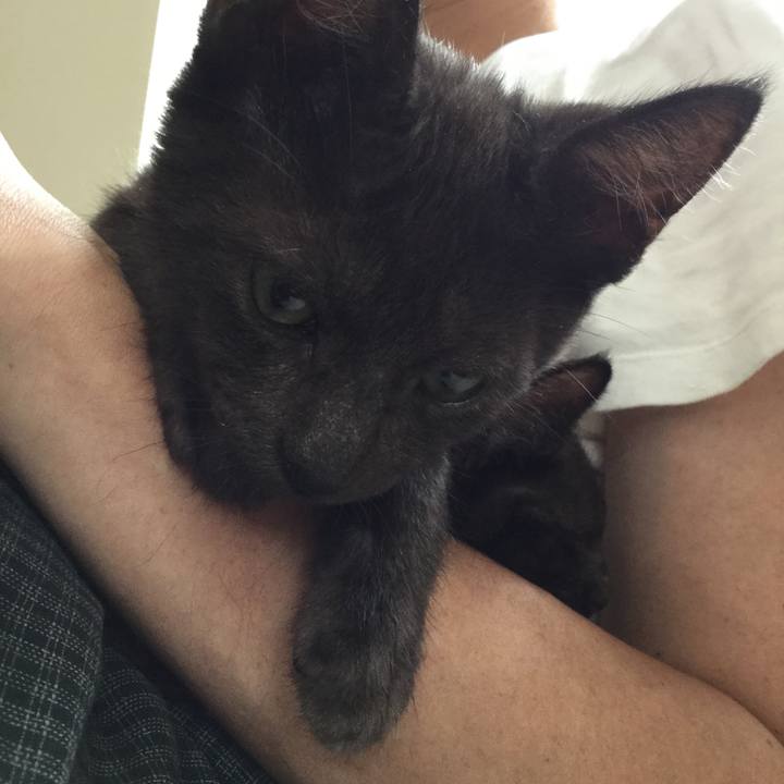 887b3c90 3820 41b4 9696 f85fd6145844