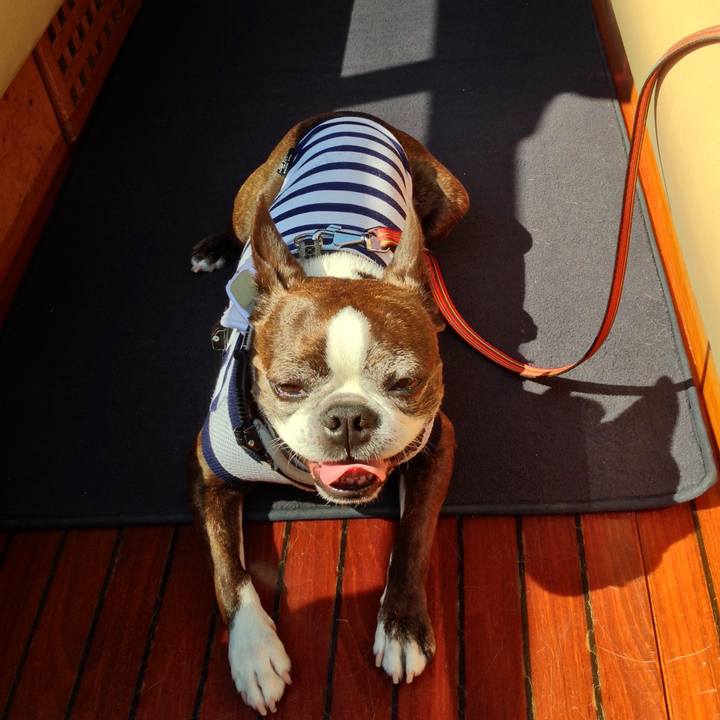 887bab50 4b3b 4ef6 ba00 bb232e6fcdd5