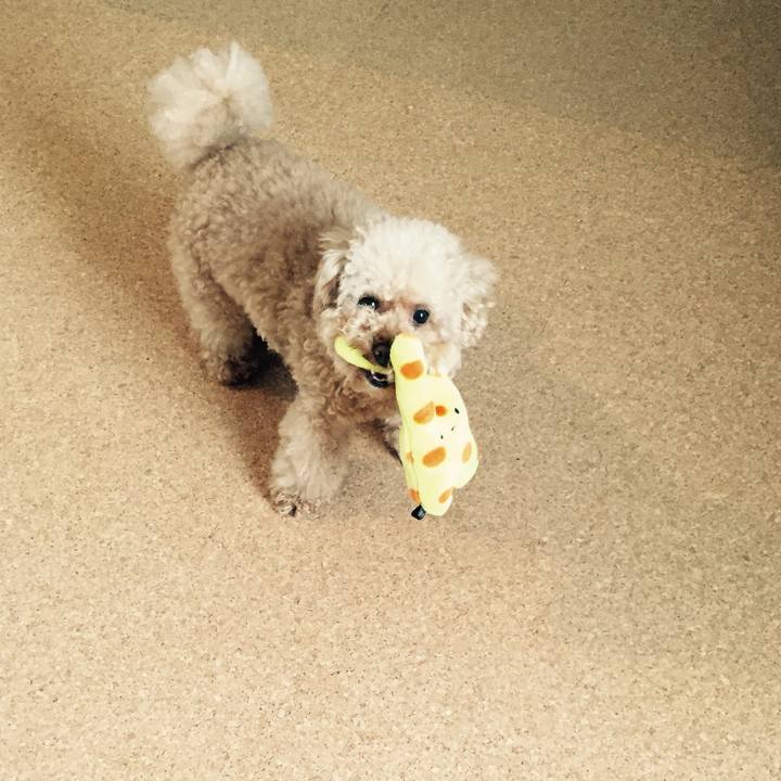 887c08bb 24dd 4760 b840 fd43820e5f41