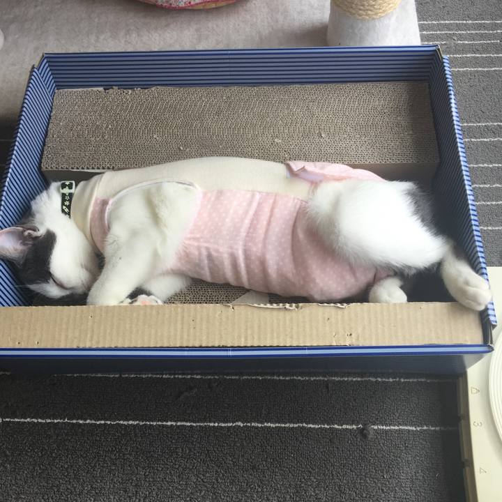 887c70a9 711d 4f4e b581 ff567c4751a3