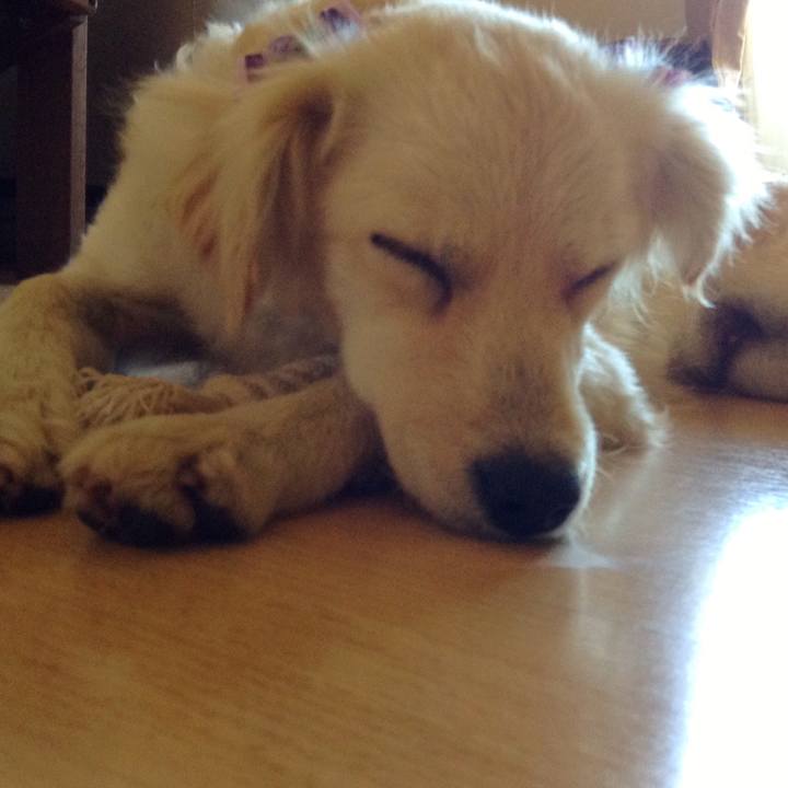 887c7da0 713a 4920 8ee2 04297b3641ff