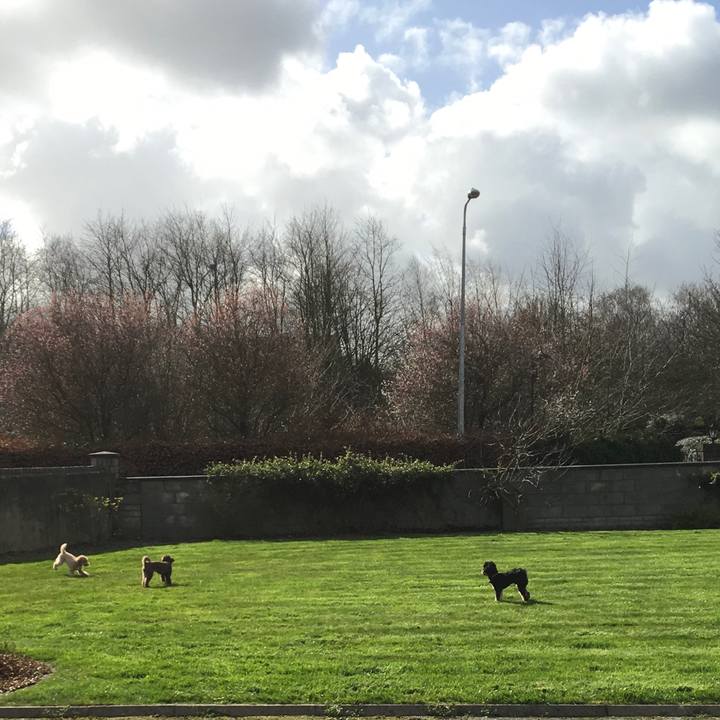 887ce3ea 1190 45dd b593 7824781948c2