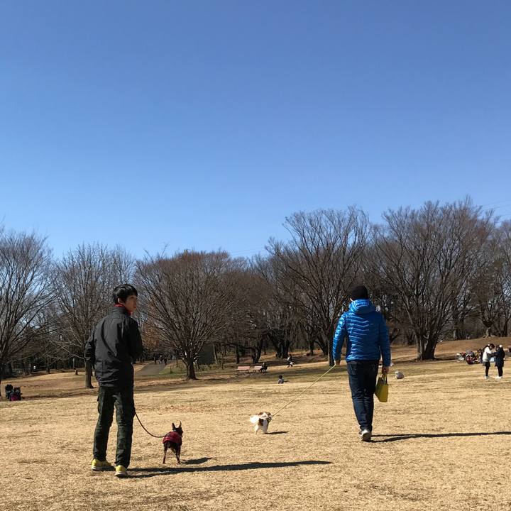 887d0d5d ad99 4e03 8945 179559276e9f