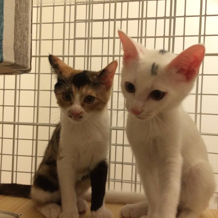 887d7474 abd4 4fae 948c 0d9e08cbabd7