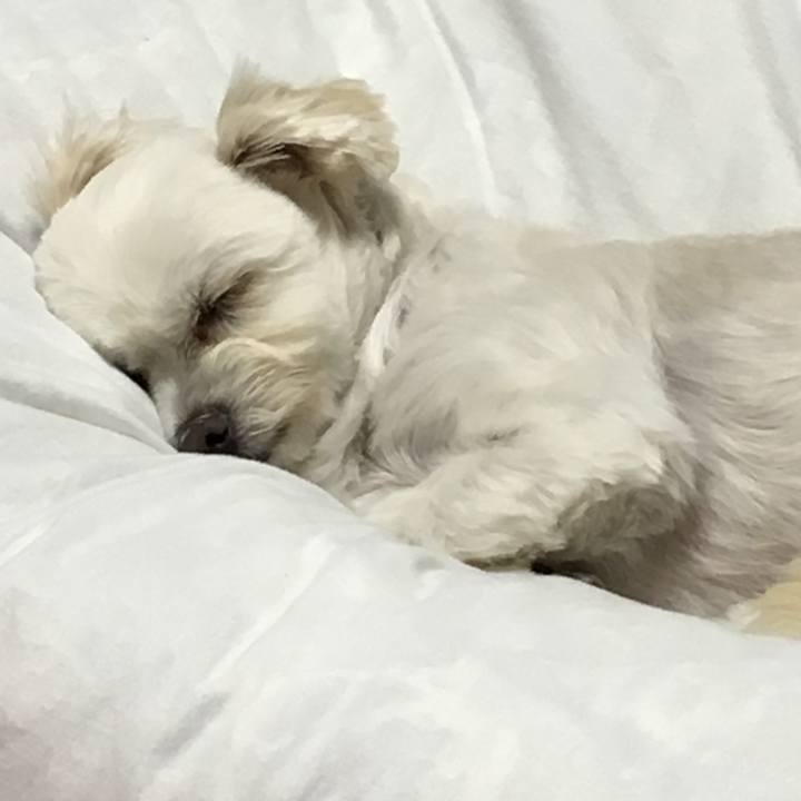 887e130f c97e 4442 bf19 e75432094d68