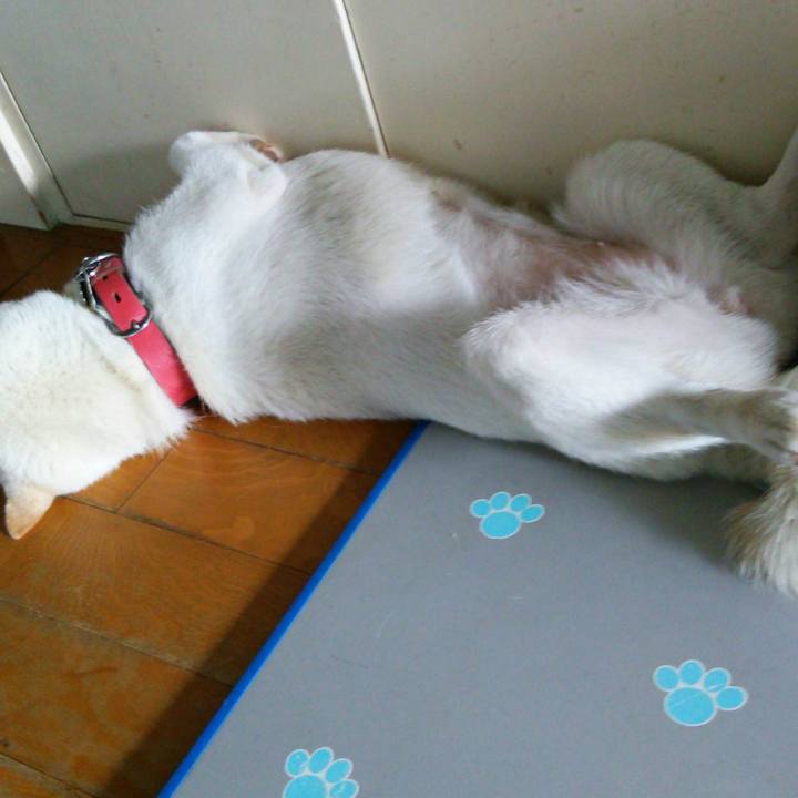 887e5caa 7024 4a25 826d f03b3419efb2