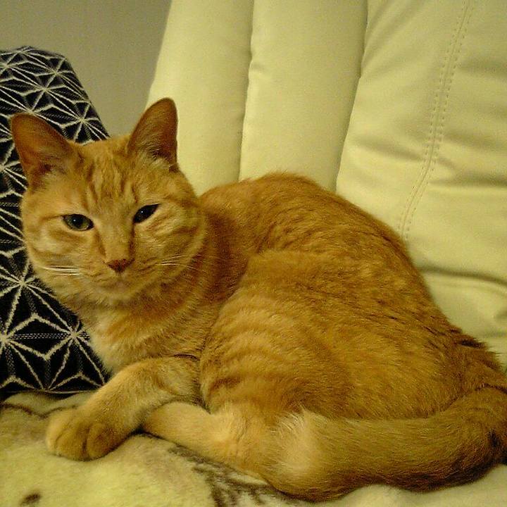 887f4e71 2fab 41e5 bd74 ceb41dcc5107