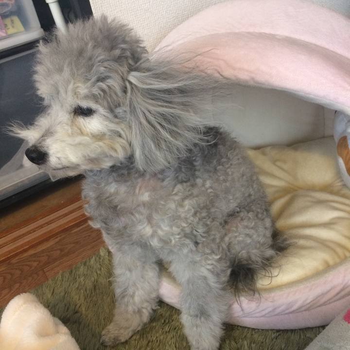 887f5624 80c6 4594 a2c3 9c2119dcc89a