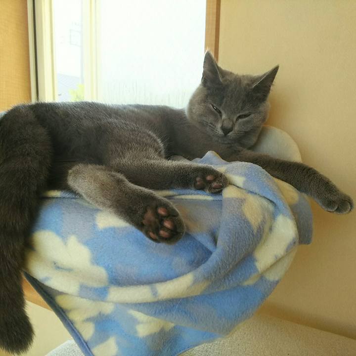 887f5878 97a3 486e b458 085f98bc21ce