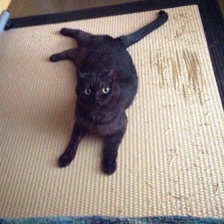 888125df 8329 4b63 9c42 267ff8497abd