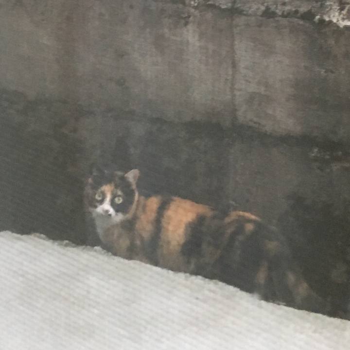 8882090f 44ba 4732 a59e 4a7ad341c813