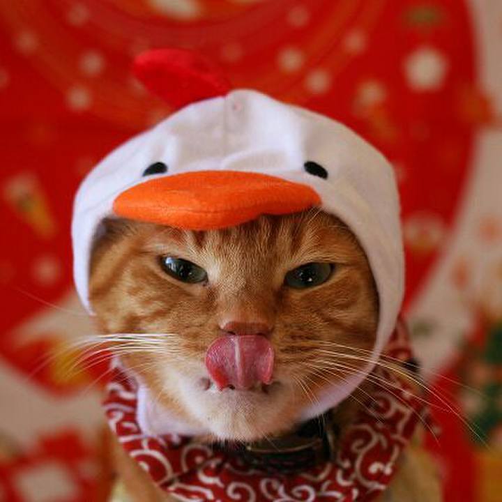 88820a30 24ca 45b2 b922 4570194905bb