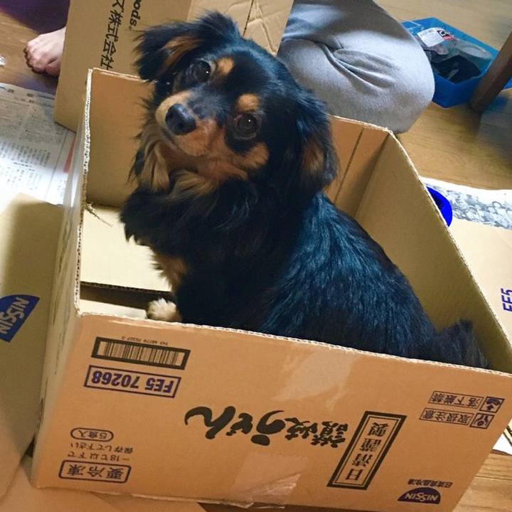 88824eff 16ff 40d7 866b a7a1b95c415d