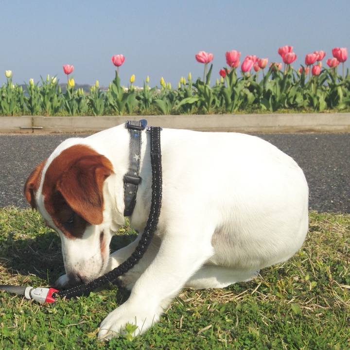 88826070 9f91 4820 9a97 340e465f4786