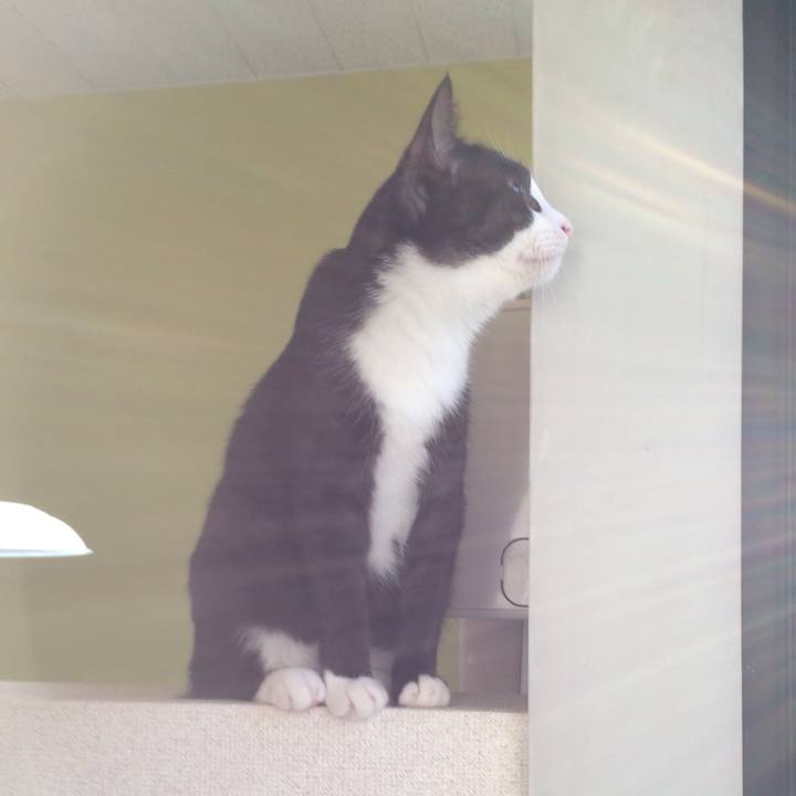 88828322 2903 4787 9241 85c385db6655