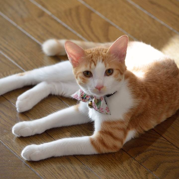 8883956f 072d 431c a017 e3e3a8222d13