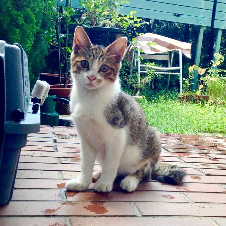 88844196 cb66 4400 b9e2 37adf16bcfc8