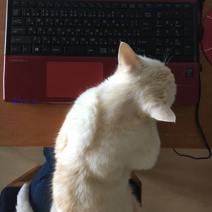 88844fb6 bb0c 4507 9314 9f0d2fb877ac