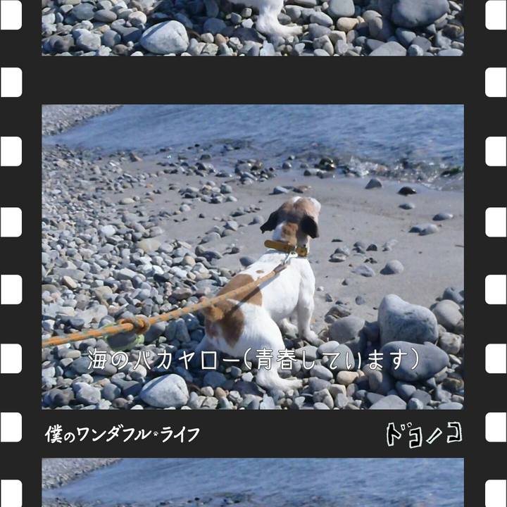 8884a982 182b 4774 b84f f351b8956ec2