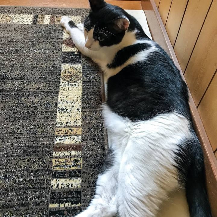 8884b600 1cc5 497d 8d60 0bf4625efdcf