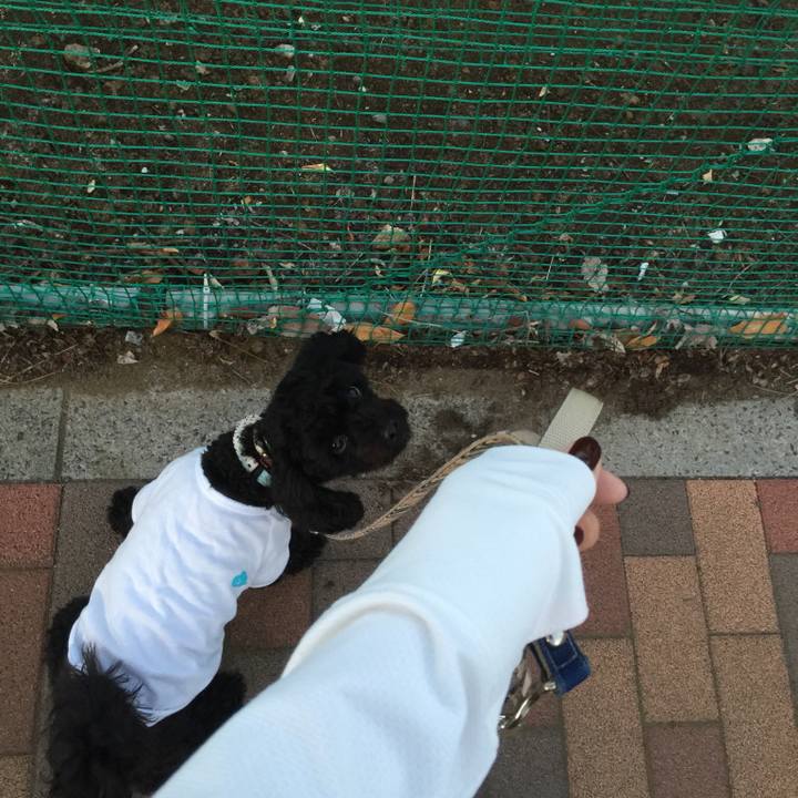 88852480 cc60 471b bd15 f853492034b4