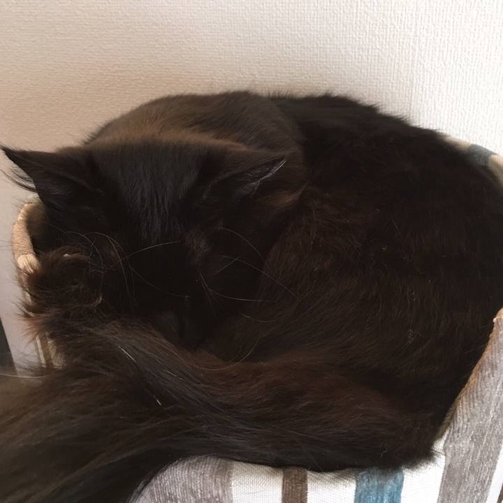 88856182 4bd3 417d 9564 ca48987cd82e