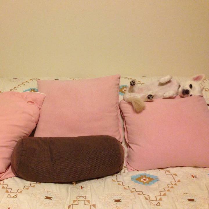 88859184 855a 4d38 b3e8 b4c9595b2998