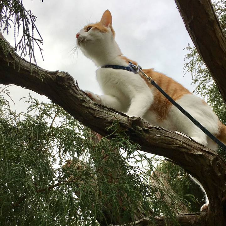 888605e6 814d 44bd be9e ebe846ddae0a