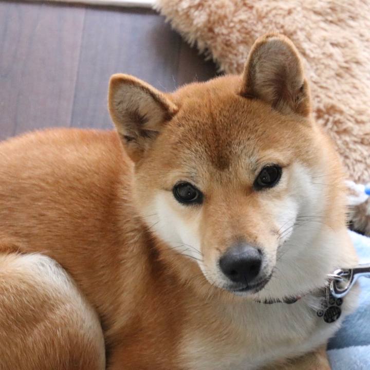 888675ff 4c7f 4f16 9e3b 114143f432d9