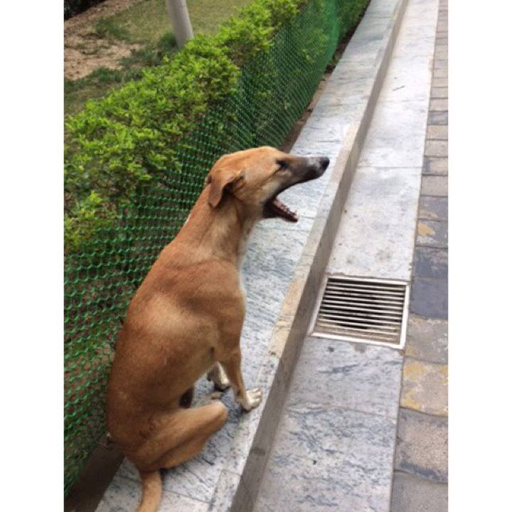 888704ac 2256 47ed b08c a375a577ead8