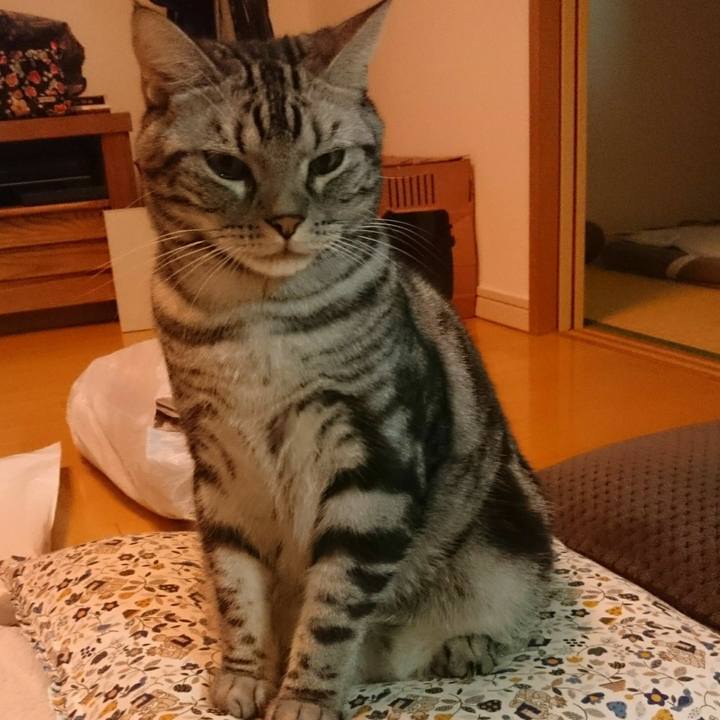 88878dfd 4ebd 4037 9070 9fdc8999d879