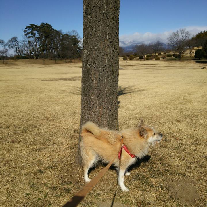 8887caa3 2034 4c85 a3d9 344a28992337