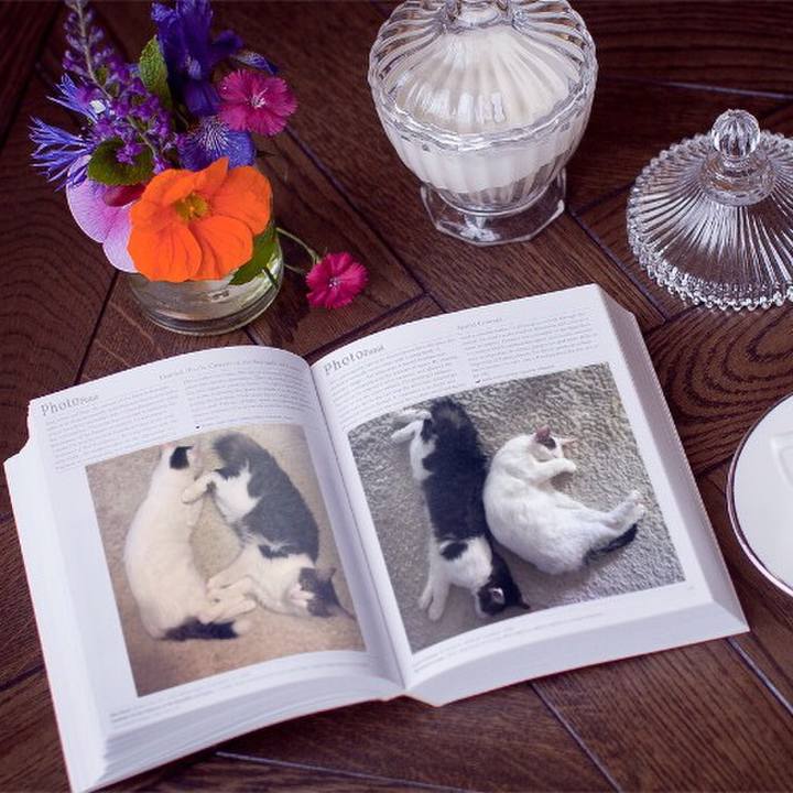 8888a418 a96c 42dd b51c 93b727f82d64