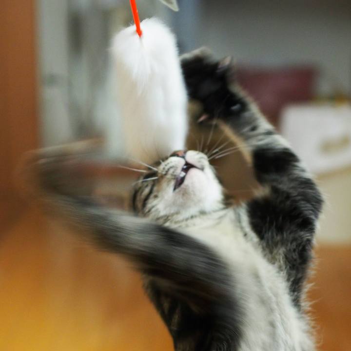 8888bfcc 8b29 4fac a426 787938f71709