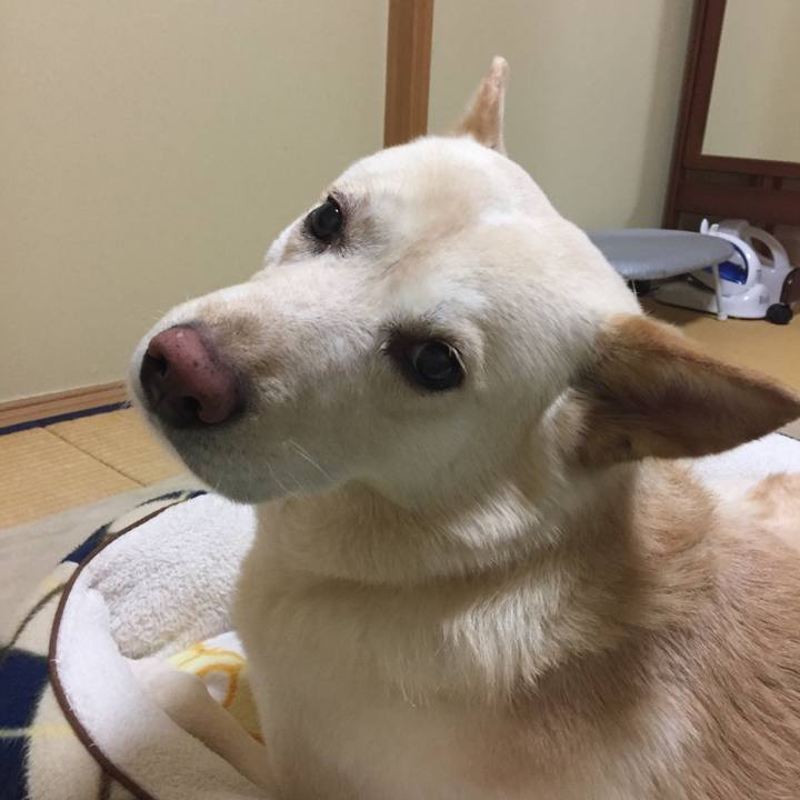 8889024d 0a52 4764 968c a2a1e9204373