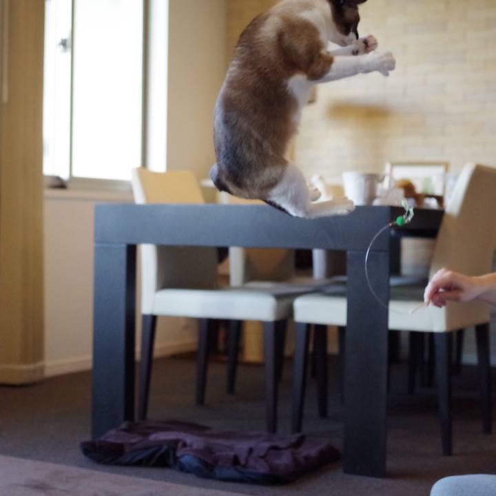 888927bc 5d92 4414 b18c 1a267cc53159