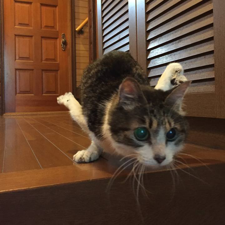 88894391 d15d 45eb 96ab 691b2d246033