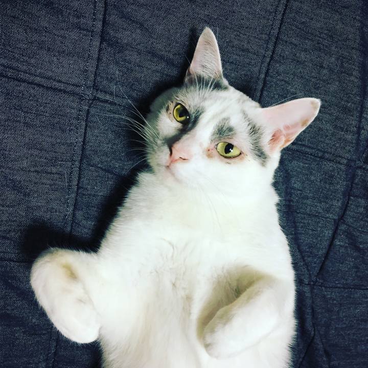 88894b93 5c2c 458e 9e9a 1e3a233ced98