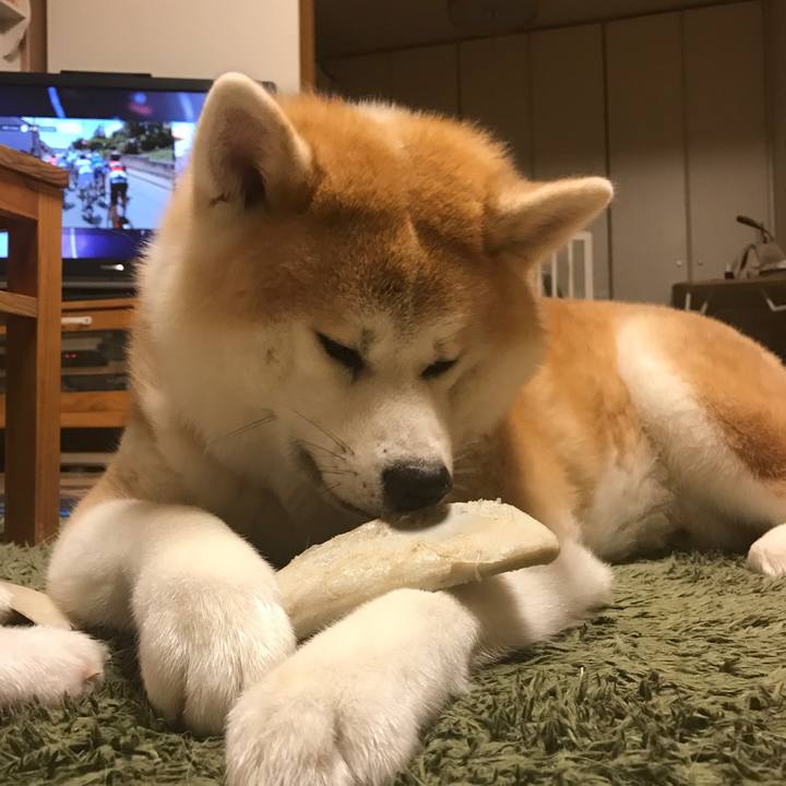 8889b1f5 6599 4601 b92d f2bcd6e408a8