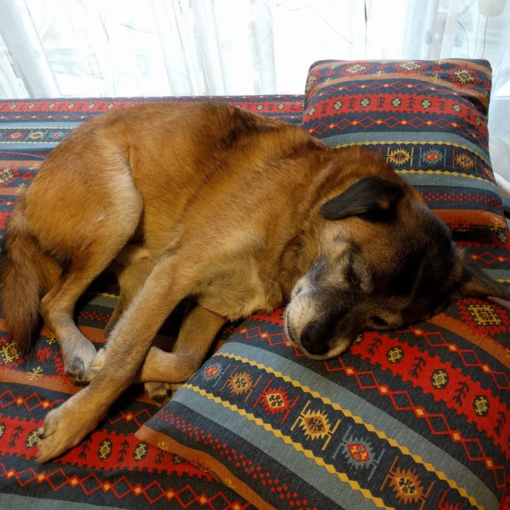 8889f4a4 1a5f 4228 9f82 082a4c1fd909