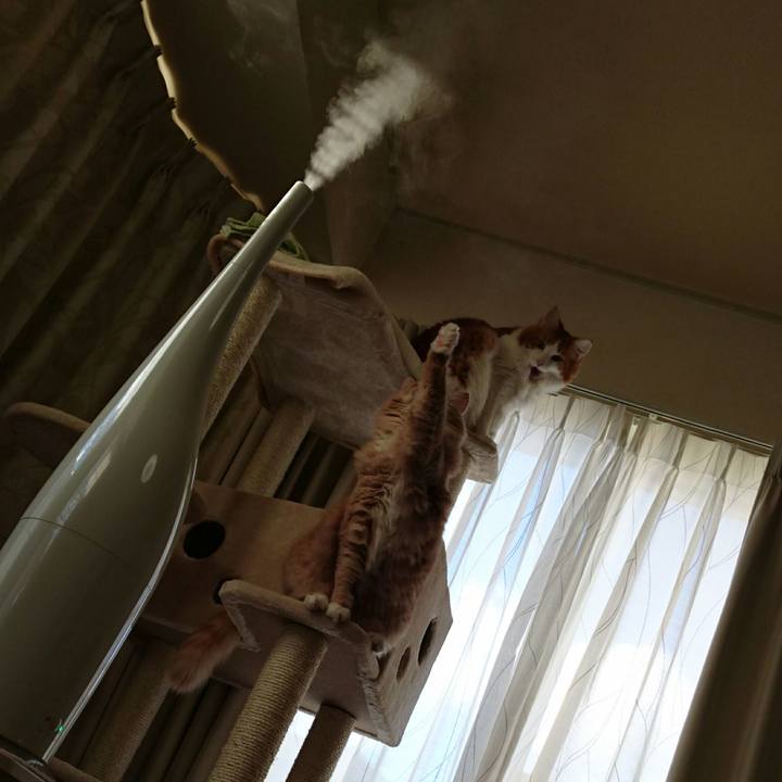 888a28da 5a47 4eaf 8240 525a344060bd