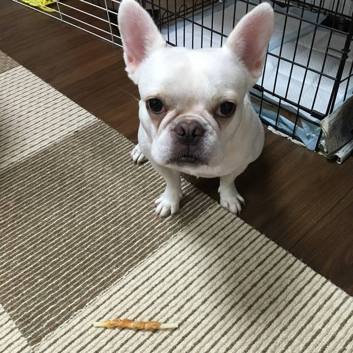 888a77f7 44db 4ab4 b77c 36469fa7f1ec