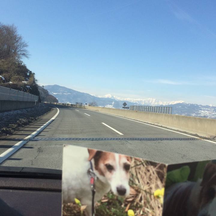 888ad9c5 a61a 4ea3 8e82 69bfc1d1b519