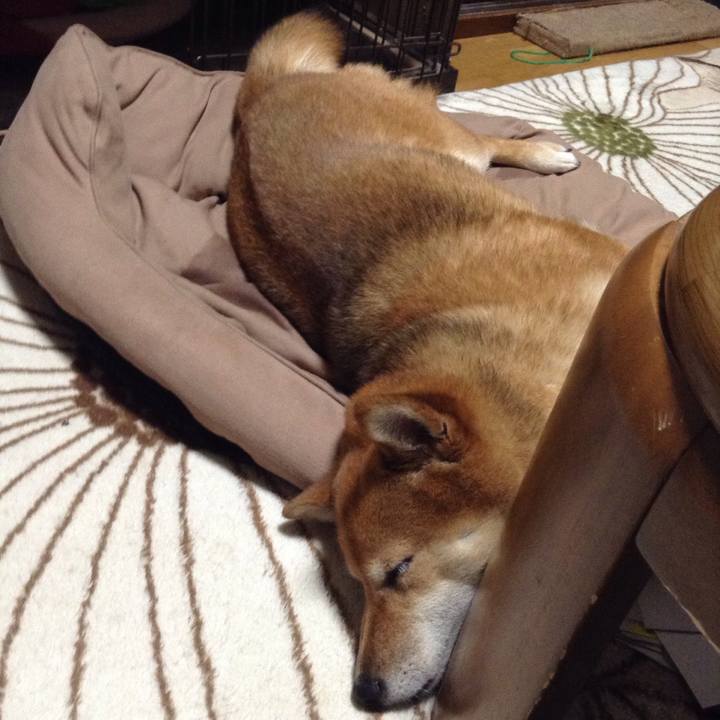 888b56c6 606a 4ea9 b2b0 1f13a26c1e0f