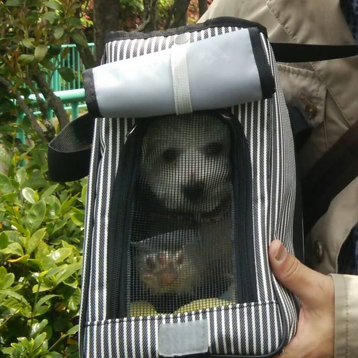 888b6d6c 4538 446c b1af b4ae56f23296