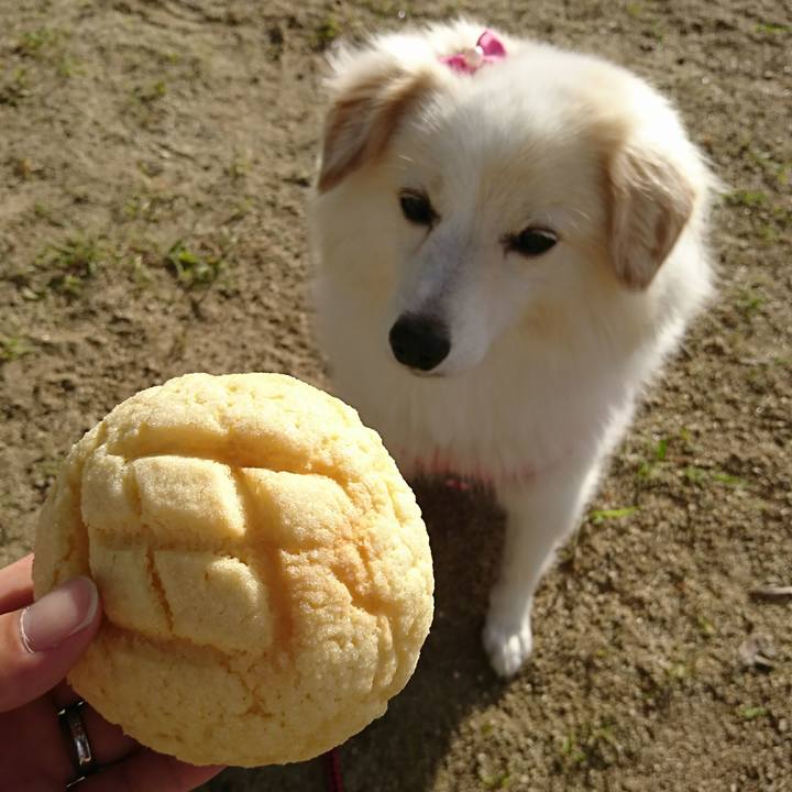 888c76b8 6f95 4ccb 9f12 05fa7a557015