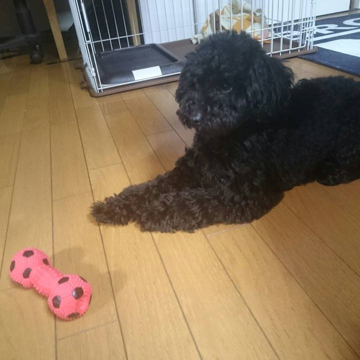 888c8b85 13bf 40eb 9424 3d2c98b82949