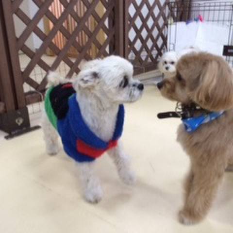 888ccbda 5bf1 495a a4c6 5bf72ad38afc